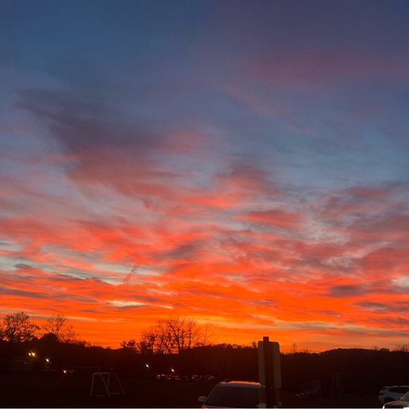 Meet your Posher, Lilah - Picture 1 of 1